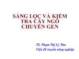 Sàng lọc và kiểm tra cây ngô chuyển gen