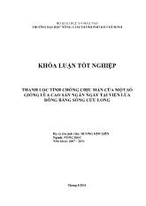 Thanh lọc tính chống chịu mặn của một số giống lúa cao sản ngắn ngày tại Viện lúa Đồng Bằng Sông Cửu Long