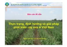 Thực trạng, định hướng và giải pháp phát triển cây mía ở Việt Nam những năm qua