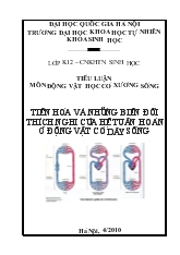Tiến hóa và những biến đổi thích nghi của hệ tuần hoàn ở động vật có dây sống
