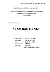 Tiểu luận Cây rau húng