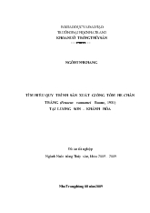 Tìm hiểu quy trình sản xuất giống tôm he chân trắng (penaeus vannamei boone, 1931) tại Lương Sơn – Khánh Hòa