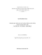 Tìm hiểu quy trình sản xuất giống tôm He Chân trắng (Penaeus vannamei Boone, 1931) tại vĩnh tân - Tuy phong - Bình Thuận