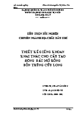 Đề tài Thiết kế giếng khoan khai thác cho cấu tạo đông bắc mỏ rồng bồn trũng Cửu Long
