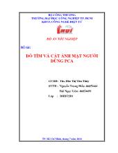 Đề tài Dò tìm và cắt ảnh mặt người dùng PCA
