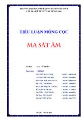 Tiểu luận Móng cọc: Ma sát âm