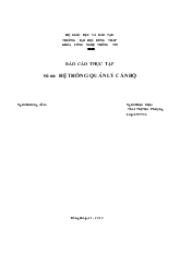 Đề tài Hệ thống quản lý các bộ