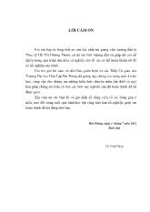Đồ án Kỹ thuật giấu tin trong ảnh SES (Steganography Evading Statistical Analyses)