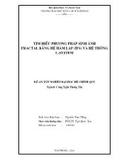 Tìm hiểu phương pháp sinh ảnh Fractal bằng hệ hàm lặp (IFS) và hệ thống L - System