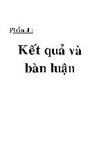 Bước đầu chế tạo và thử nghiệm vật liệu sinh học trong điều trị tại chỗ tổn thương bỏng