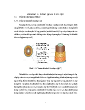 Bước đầu nghiên cứu enzyme xylanolytic và cellulolytic từ một chủng vi khuẩn ưa nhiệt