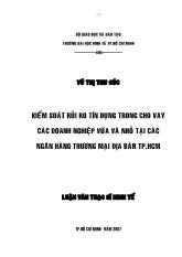 Luận văn Kiểm soát rủi ro tín dụng trong cho vay các doanh nghiệp vừa và nhỏ tại các Ngân hàng Thương mại địa bàn TP Hồ Chí Minh