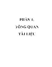 Nghiên cứu khả năng phân hủy lignin và cellulose trên mạt dừa của chủng phanerochaete chrysosporium bằng phương pháp sốc nhiệt