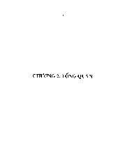 Nghiên cứu tạo giá rắn bắt kháng nguyên (alpha - Fetoprotein)