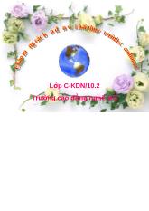 Chính sách thương mại tự do
