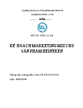 Kế hoạch Marketing Mix cho sản phẩm Heineken