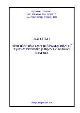 Tình hình đào tạo thương mại điện tử tại các trường đại học và cao đẳng năm 2010