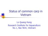 Status of common carp in Vietnam
