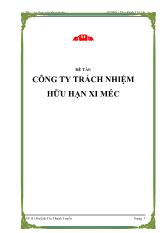 Đề tài Xử lý nước thải công ty trách nhiệm hữu hạn Xi Méc