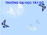 Hành vi sử dụng sản phẩm thay thế túi nilon của người dân tại thành phố Cần Thơ năm 2010