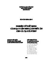 Nghiên cứu cám gạo lên men là thức ăn cho cá tại Cần Thơ
