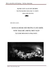 Tiểu luận Đánh giá rủi ro môi trường và sức khỏe nước thải chứa Metyl thủy ngân tại vịnh Minamata - Nhật Bản