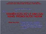 Tiểu luận Nghiên cứu xử lý kim loại nặng trong nước ngầm