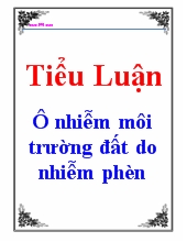 Tiểu luận Ô nhiễm môi trường đất do nhiễm phèn