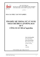 Tìm hiểu hệ thống xử lý nước thải chế biến cấp đông rau quả công suất 300 m 3 /ngàyđêm