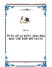 Xử lý nước thải nhà máy chế biến mũ cao su