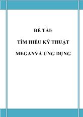 Đề tài Tìm hiểu kỹ thuật megan và ứng dụng