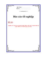 Luận văn Nghiên cứu một số vấn đề về phụ thuộc dữ liệu và khai phá dữ liệu trong cơ sở dữ liệu quan hệ