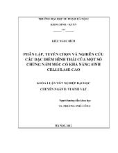 Đề tài Phân lập, tuyển chọn và nghiên cứu các đặc điểm hình thái của một số chủng nấm mốc có khả năng sinh cellulase cao