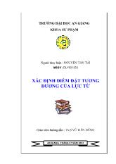 Đề tài Xác định điểm đặt tương đương của lực từ