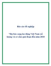 Dự báo cung lao động Việt Nam (số lượng và cơ cấu) giai đoạn đến năm 2010