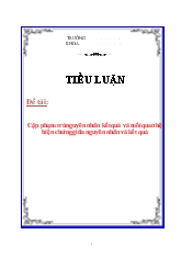 Tiểu luận Cặp phạm trù nguyên nhân kết quả và mối quan hệ biện chứng giữa nguyên nhân và kết quả