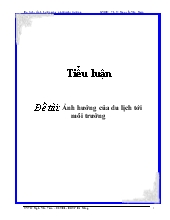 Tiểu luận Nghiên cứu về tác động của du lịch tới môi trường