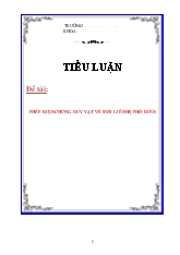 Tiểu luận Phép biện chứng duy vật về mối liên hệ phổ biến
