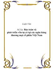 Bảo toàn và phát triển vốn tự có tại các ngân hàng thương mại cổ phần Việt Nam