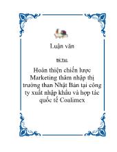 Hoàn thiện chiến lược Marketing thâm nhập thị trường than Nhật Bản tại công ty xuất nhập khẩu và hợp tác quốc tế Coalimex