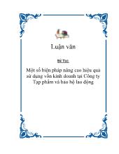 Một số biện pháp nâng cao hiệu quả sử dụng vốn kinh doanh tại Công ty Tạp phẩm và bảo hộ lao động