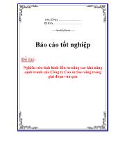 Nghiên cứu tình hình đầu tư nâng cao khả năng cạnh tranh của Công ty Cao su Sao vàng trong giai đoạn vừa qua
