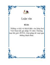 Những cơ hội và thách thức của hàng hoá Việt Nam khi gia nhập Tổ chức Thương mại thế giới (WTO). Giải pháp để vượt qua những thách thức