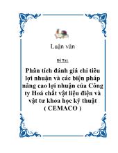 Phân tích đánh giá chỉ tiêu lợi nhuận và các biện pháp nâng cao lợi nhuận của Công ty Hoá chất vật liệu điện và vật tư khoa học kỹ thuật ( CEMACO )
