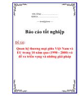 Quan hệ thương mại giữa Việt Nam và EU từ 1990 - 2000 và đề ra triển vọng và những giải pháp