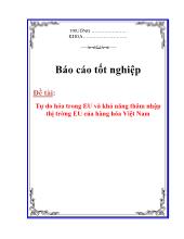 Tự do hóa trong EU và khả năng thâm nhập thị trờng EU của hàng hoá Việt Nam