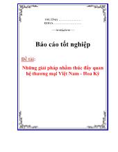 Luận văn Những giải pháp nhằm thúc đẩy quan hệ thương mại Việt Nam và Hoa Kỳ