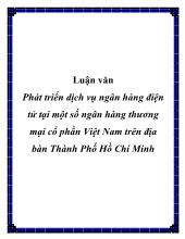 Luận văn Phát triển dịch vụ ngân hàng điện tử tại một số ngân hàng thương mại cổ phần Việt Nam trên địa bàn Thành Phố Hồ Chí Minh