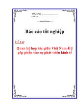 Luận văn Quan hệ hợp tác giữa Việt Nam-EU góp phần vào sự phát triển kinh tế