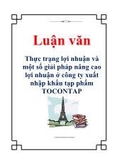 Luận văn Thực trạng lợi nhuận và một số giải pháp nâng cao lợi nhuận ở công ty xuất nhập khẩu tạp phẩm TOCONTAP